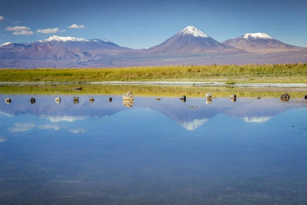 Licancabur volcanic landscape and salt lake reflection in Atacama Desert, Chile, South America