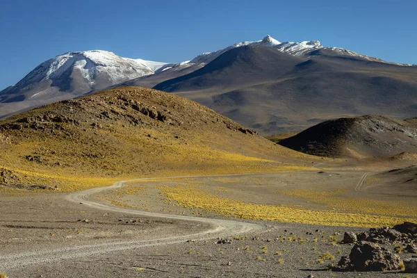 Country Road Atacama Desert Volcanic Arid Landscape Northern Chile Border — Photo