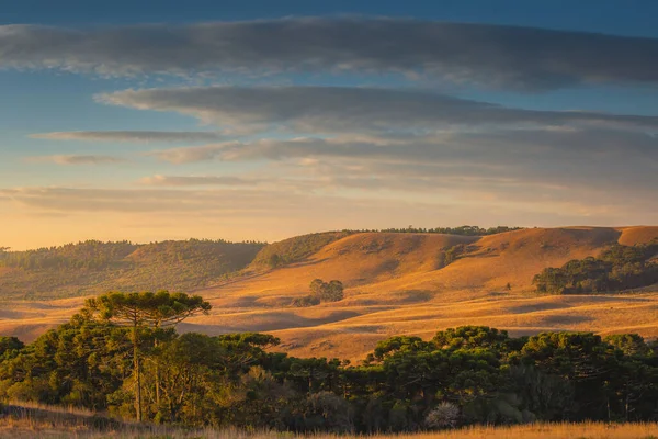 Paisaje Del Sur Brasil Prados Pacífico Amanecer Dorado —  Fotos de Stock