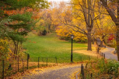 New York 'taki Central Park' ta huzurlu bir sonbahar, Birleşik Devletler