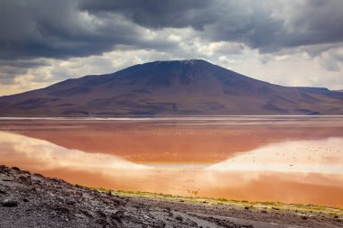 Laguna Colorada, Red Lagoon, is a shallow salt lake in the southwest of the altiplano of Bolivia, within Eduardo Avaroa Andean Fauna National Reserve and close to the border with Chile