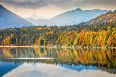 Sylvenstein Lake in Bavarian Alps at golden autumn, Southern Germany, near Austria clipart