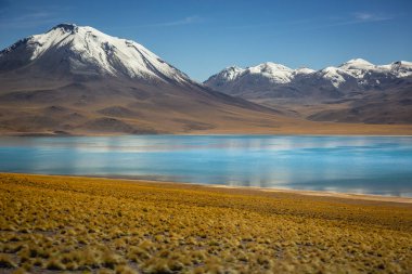 Turkuaz laguna Miscanti, Atacama çölünde tuz gölü, volkanik manzara, Şili, Güney Amerika
