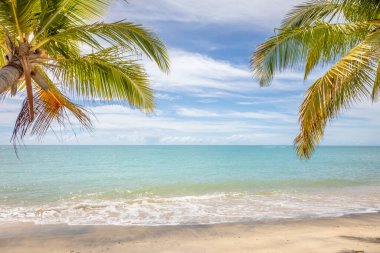 Idyllic Espelho Beach in Trancoso at sunny day, Bahia, Northeastern Brazil, South America