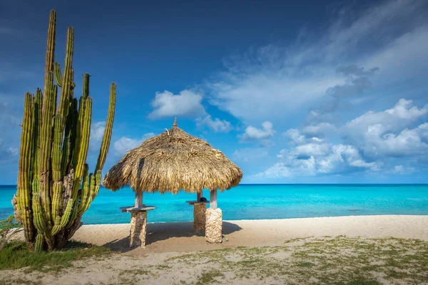 Paraíso Tropical Aruba Idílica Playa Caribeña Día Soleado Con Palapa —  Fotos de Stock