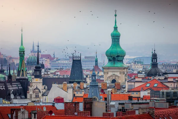 Acima Praga Medieval Torres Cidade Velha Cúpulas Rebanho Pássaros República — Fotografia de Stock