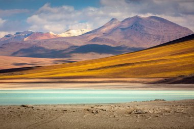Laguna Blanca, Bolivya, Güney Amerika 'daki Altiplano' da dramatik gökyüzünde beyaz bir göl.