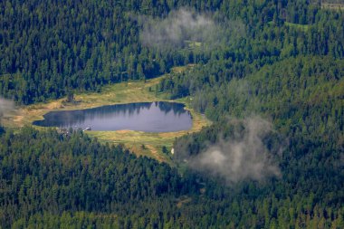 Muottas Muragl, Engadine Valley, İsviçre 'den St. Moritz' in tenha çam ormanlarında Staz Gölü