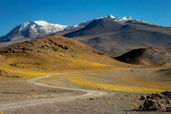 Country Road Atacama Desert Volcanic Arid Landscape Northern Chile Border — Stockfoto