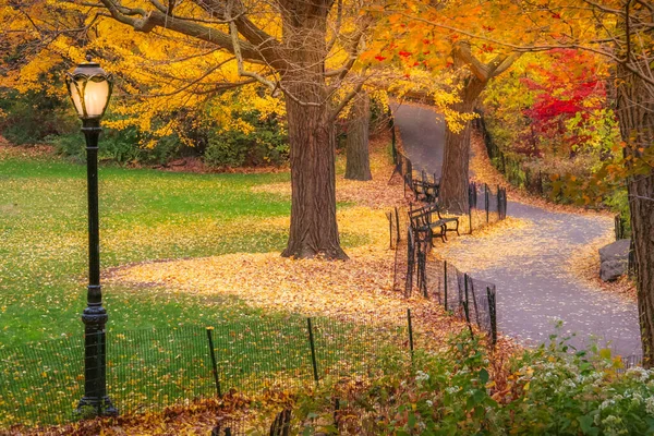 Central Park New York City Friedlichen Goldenen Herbst Vereinigte Staaten — Stockfoto