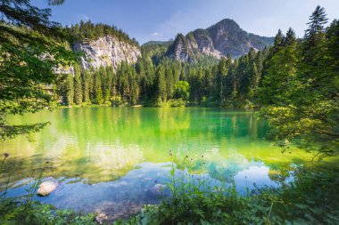 Idyllic Lake Tovel reflection symmetry in Trentino-Alto Adige, Italy