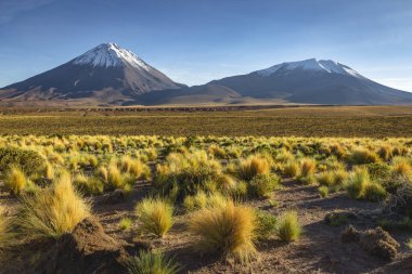 Güneşli bir günde Licancabur volkanı, San Pedro de Atacama, çöl kurak arazisi, Şili, Güney Amerika
