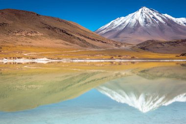 Laguna Piedras Rojas, salt lake in Atacama desert, volcanic landscape, Chile, South America