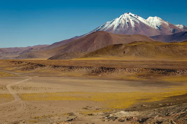 Country Road Atacama Desert Volcanic Arid Landscape Northern Chile Border — Fotografia de Stock