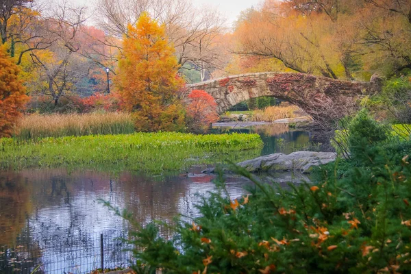 Pont Lac Central Park New York Paisible Automne Doré États — Photo