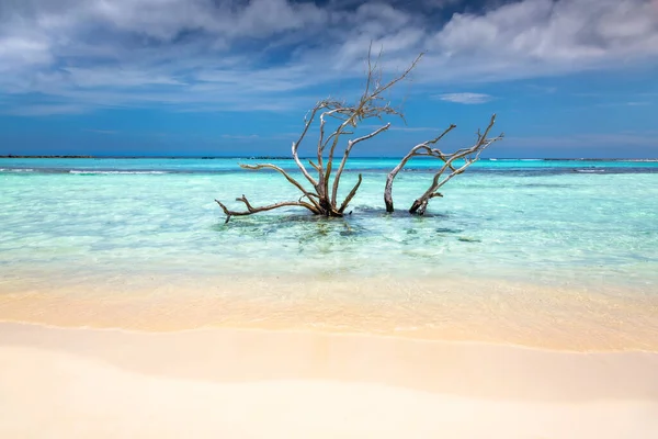 Tropical Paradise Aruba Idyllic Caribbean Beach Sunny Day Dutch Antilles — Φωτογραφία Αρχείου