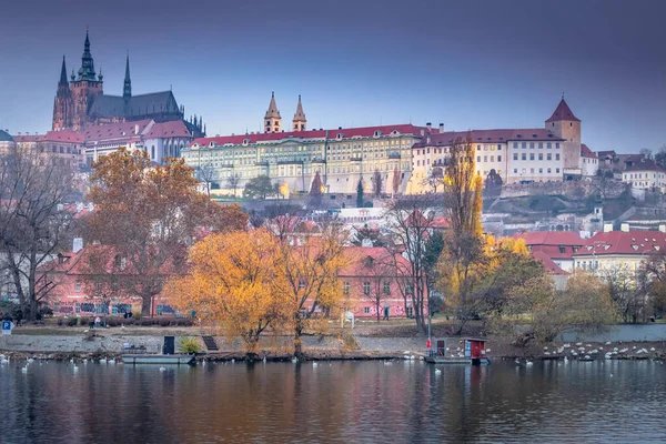 Dzielnica Hradcany Katedra Wita Wełtawa Zmierzchu Łabędziami Praga Czechy — Zdjęcie stockowe