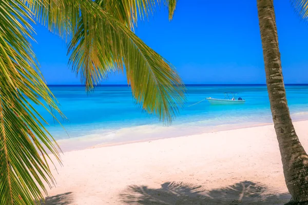 Tropical Paradise Idyllic Caribbean Beach Sailboats Boats Punta Cana Dominican Royalty Free Stock Images