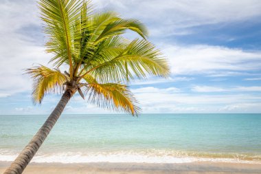 Idyllic Espelho Beach in Trancoso at sunny day, Bahia, Northeastern Brazil, South America