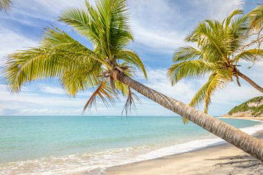 Idyllic Espelho Beach in Trancoso at sunny day, Bahia, Northeastern Brazil, South America
