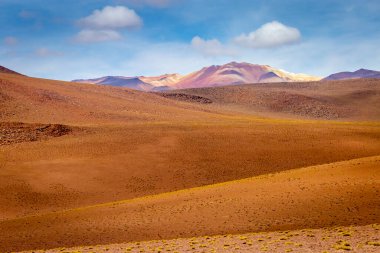 Atacama desert, volcanic arid landscape in Northern Chile, border with Bolivia, South America