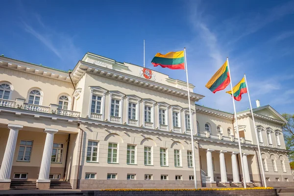 Προεδρικό Μέγαρο Στο Βίλνιους Και Λιθουανικές Σημαίες Που Κυματίζουν Την — Φωτογραφία Αρχείου