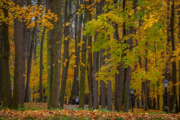 Autumn Landscape October Park View Path Colorful Deciduous Trees Russia — Stock Photo, Image