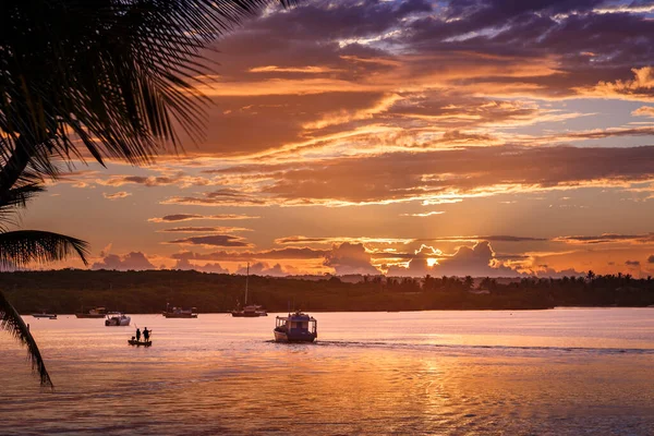 ポルト セグロ バヒア ブラジル北東部にあるヤシの木とボートで日没の牧歌的なビーチ — ストック写真