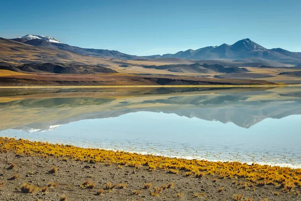 Laguna Tuyajto Słone Jezioro Pustyni Atacama Krajobraz Wulkaniczny Chile Ameryka — Zdjęcie stockowe