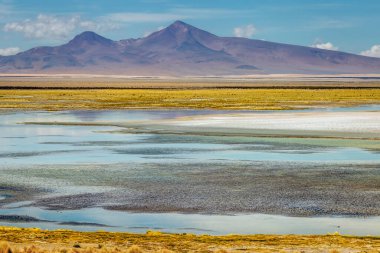 Salar de Atacama volkanik peyzaj ve tuz gölü Atacama Çölü, Şili, Güney Amerika