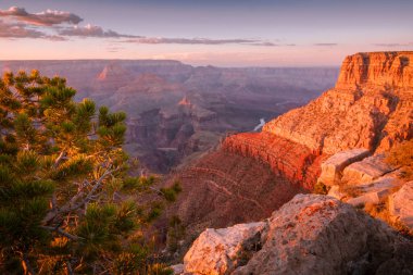 Büyük Kanyon Güney Rim ve Colorado Nehri gün batımında ağaç, Arizona, ABD
