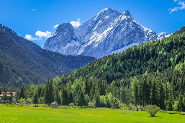 Cortina Ampezzo Krajina Alpské Louky Dolomitskými Alpami Severní Itálie — Stock fotografie
