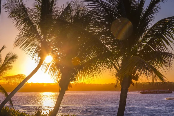 Idyllic Porto Seguro Beach Sunset Boat Palm Trees Trancoso Bahia — ストック写真
