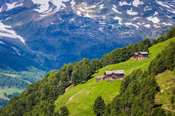 Snowcapped Hory Národním Parku Stelvio Farmami Valfurva Sondrio Italské Alpy — Stock fotografie