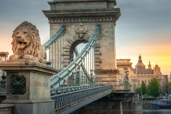 ブダペスト ハンガリー 東ヨーロッパの劇的な日の出のライオンと鎖橋 — ストック写真