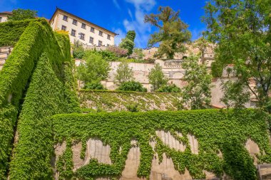 Prag şehir manzarası ve park Orta Çağ gotik ve barok mimarisi, Çek Cumhuriyeti