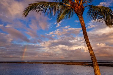 Gün batımında Idyllic Porto Seguro Plajı. BaHIA, Kuzeydoğu Brezilya 'da palmiye ağacı var.