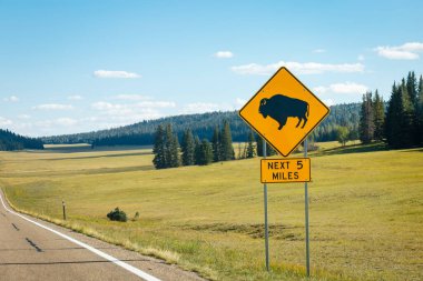 Road and bison sign with Kaibab pines to Grand Canyon North Rim, Arizona, United States clipart