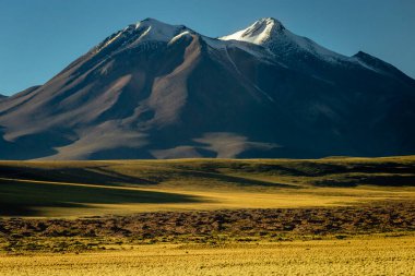 Atacama desert, volcanic arid landscape in Northern Chile, border with Bolivia, South America