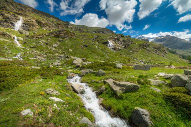 İlkbaharda ruhani şelale ve alp çayırları, Gran Paradiso Alpleri, İtalya, Fransa sınırı
