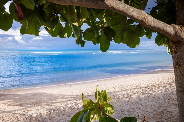 Idílica Playa Porto Seguro Día Soleado Con Árboles Tropicales Bahia — Foto de Stock