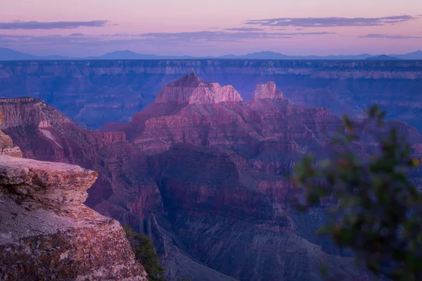 Grand Canyon North Rim Silhouette Golden Sunset Arizona United States — Stock Photo, Image