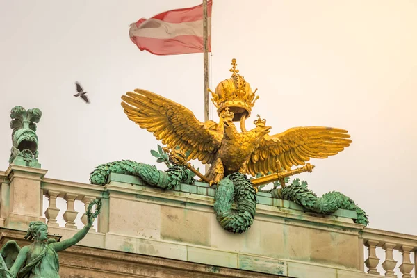 Austrian flag and birds flying over hofburg roof, Vienna at sunrise, Austria