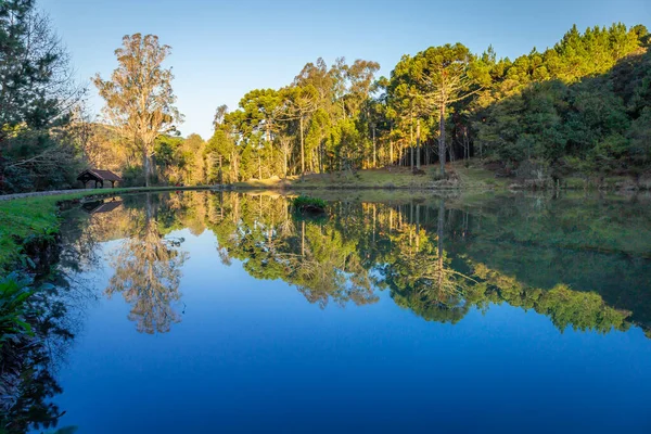 Zuid Brazilië Platteland Meer Reflectie Landschap Bij Vreedzame Gouden Zonsopgang — Stockfoto