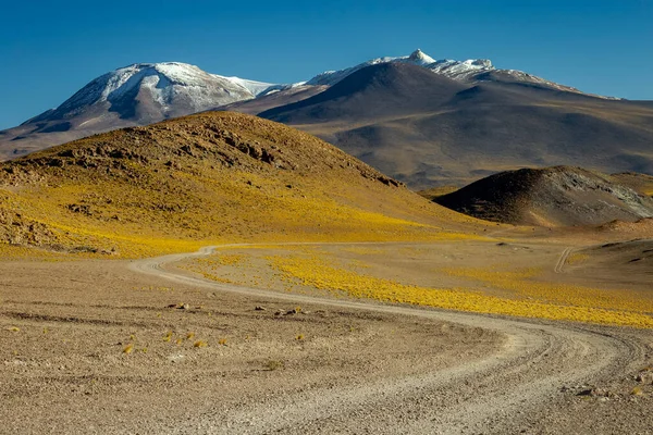 Country Road Atacama Desert Volcanic Arid Landscape Northern Chile Border — Foto de Stock