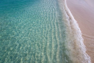 Tropical paradise, Aruba idyllic caribbean beach at sunny day, Dutch Antilles, Caribbean Sea clipart