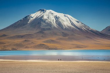 Turkuaz laguna Miscanti, Atacama çölünde tuz gölü, volkanik manzara, Şili, Güney Amerika