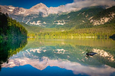 Idyllic Lake Tovel reflection symmetry in Trentino-Alto Adige, Italy