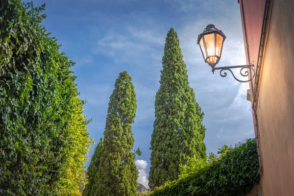 Ciprestes Lâmpada Rua Iluminada Relaxe Paisagem Pôr Sol Toscana Itália — Fotografia de Stock