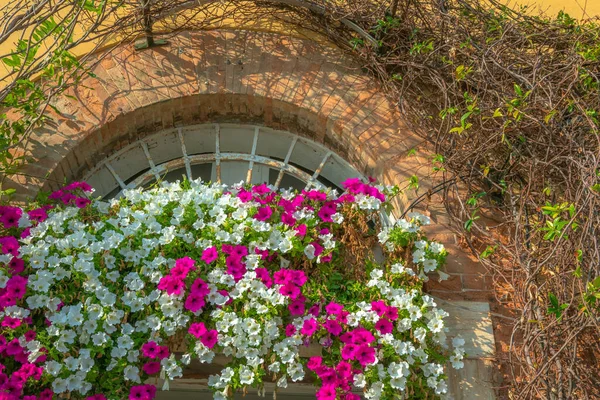 Janela Arqueada Varanda Flores Uma Casa Veneziana Primavera Veneza Itália — Fotografia de Stock